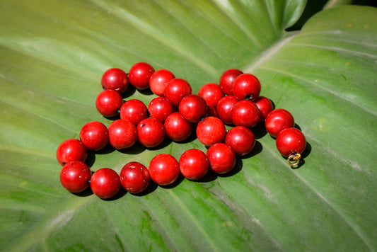Coral Necklace